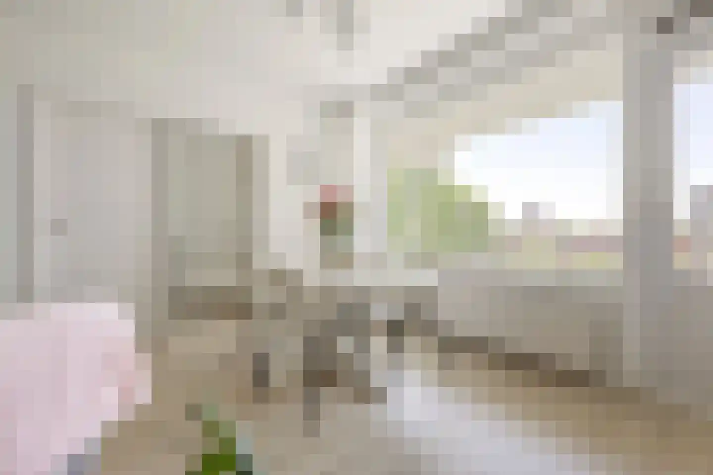 Grote Beerstraat 252 Groningen thumbnail 20
