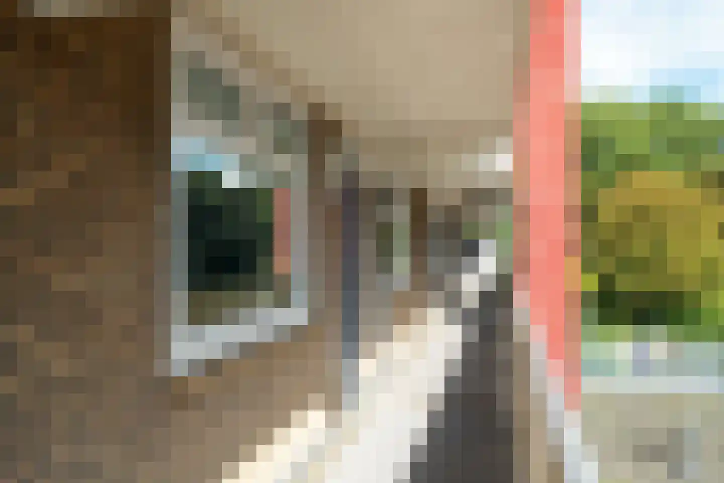 Grote Beerstraat 254 Groningen thumbnail 15
