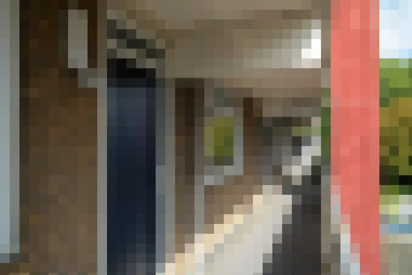 Grote Beerstraat 254 Groningen thumbnail 16