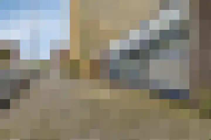 Grote Beerstraat 256 Groningen thumbnail 7