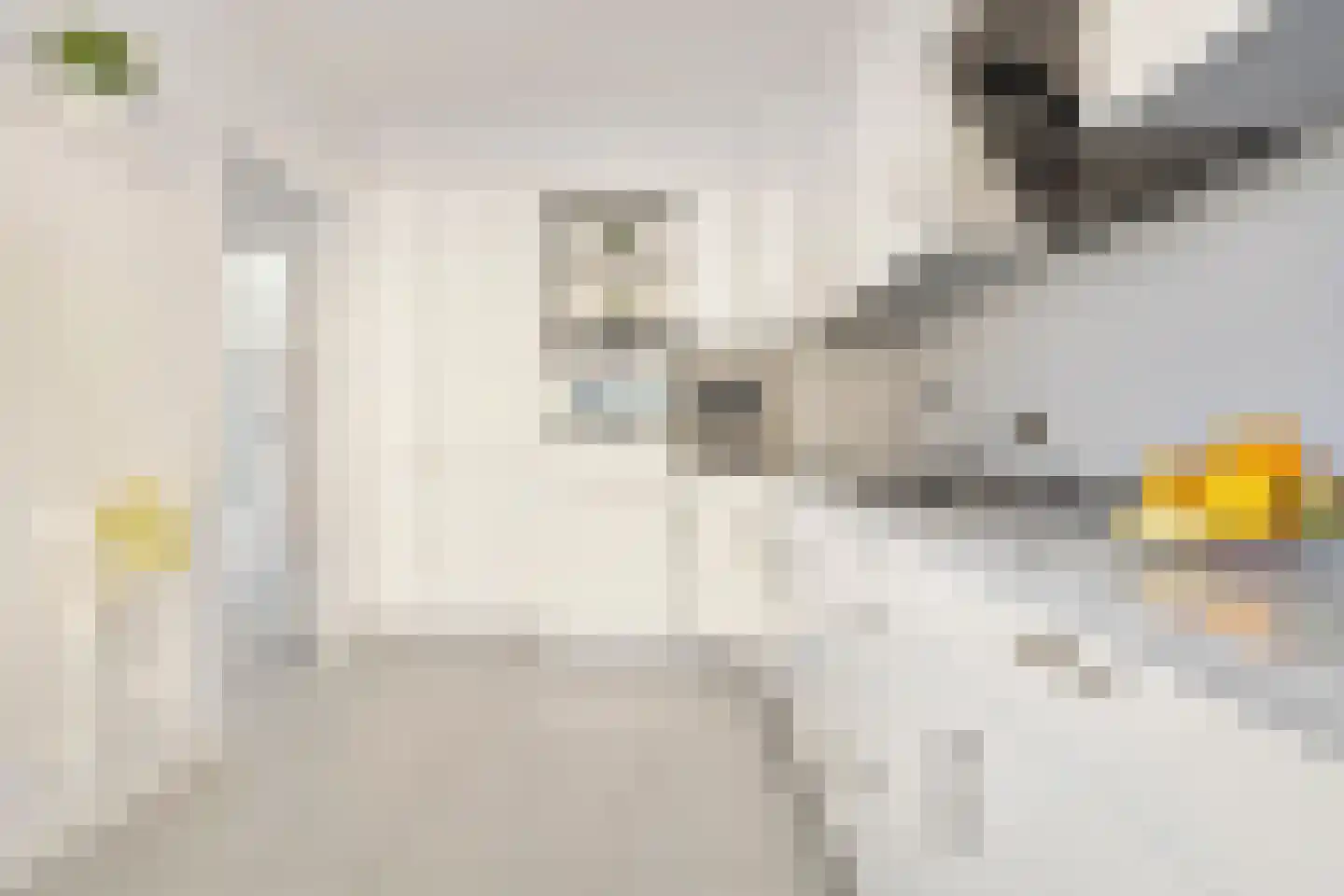 Grote Beerstraat 262 Groningen thumbnail 21