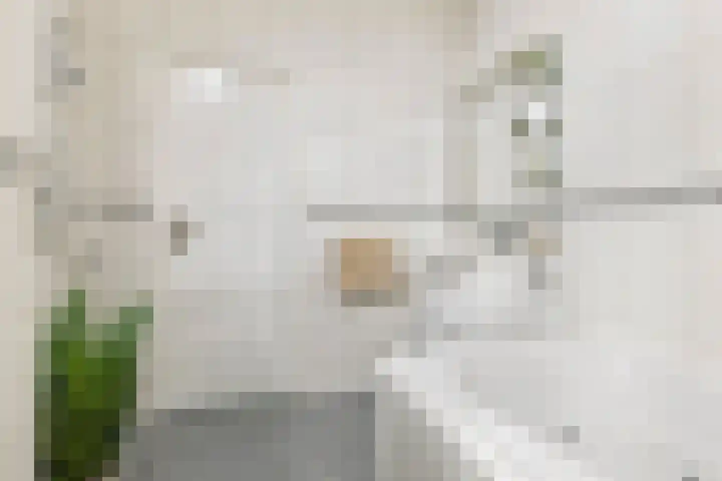 Grote Beerstraat 262 Groningen thumbnail 28