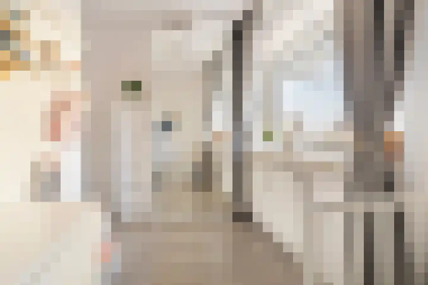 Grote Beerstraat 262 Groningen thumbnail 34