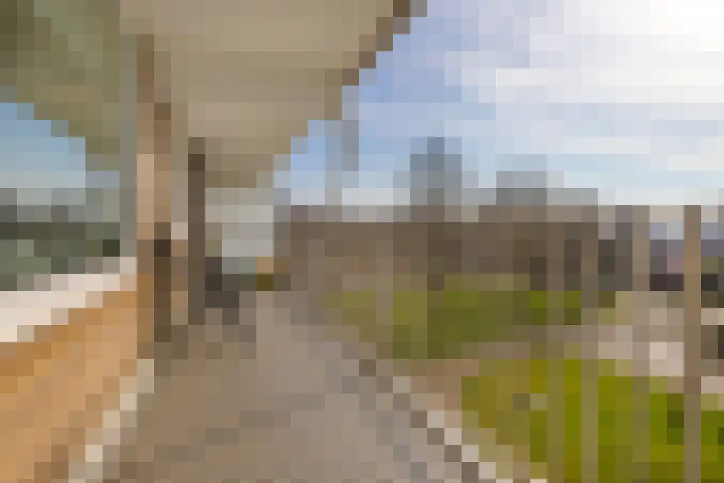 Grote Beerstraat 262 Groningen thumbnail 5
