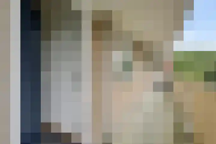 Grote Beerstraat 292 Groningen thumbnail 15