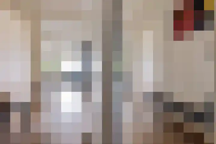Grote Beerstraat 292 Groningen thumbnail 20