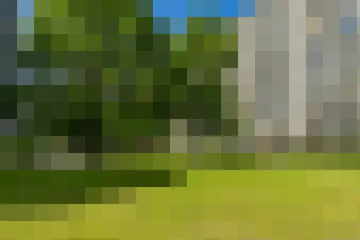 Grote Beerstraat 322 Groningen thumbnail 32
