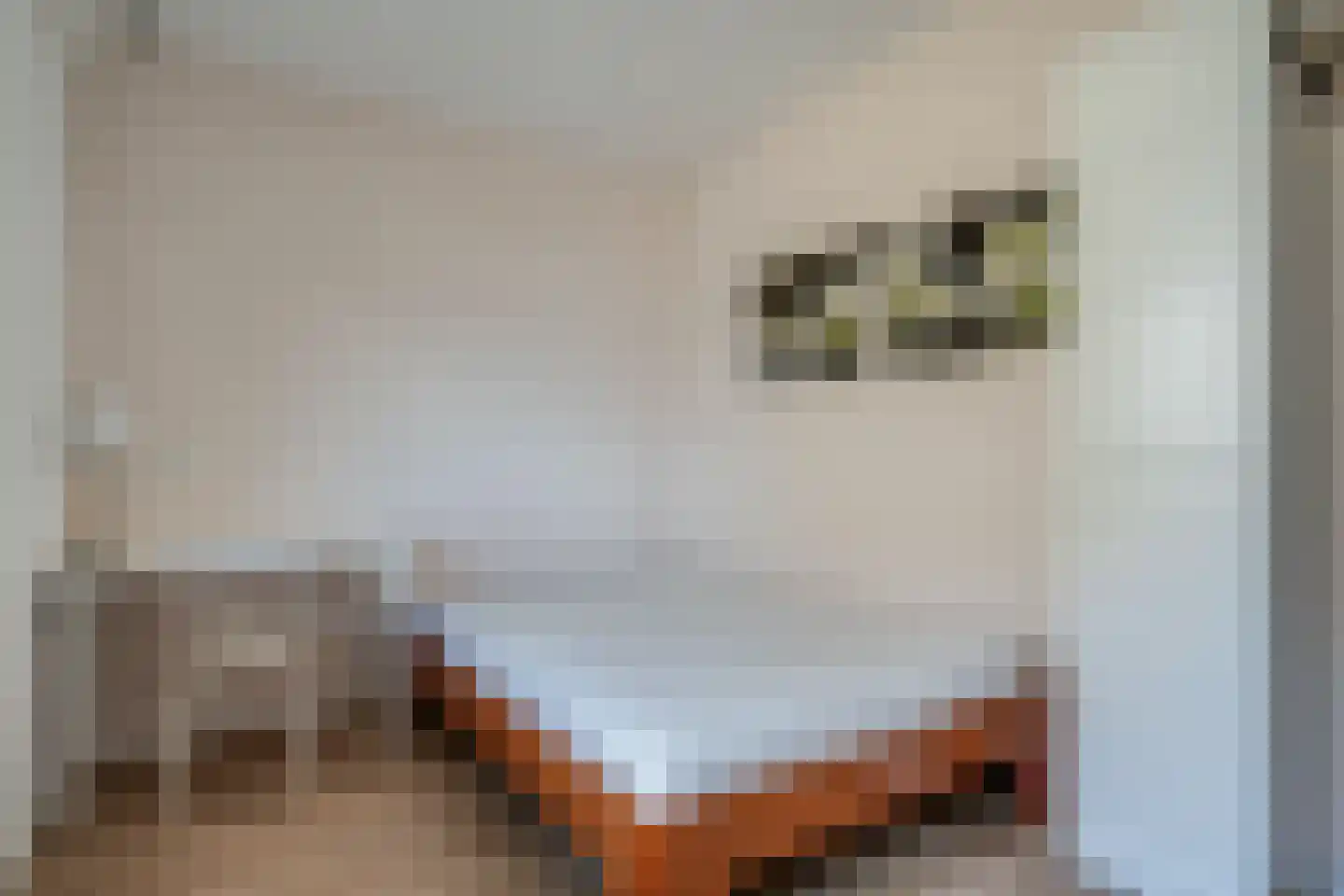 Grote Beerstraat 340 Groningen thumbnail 25