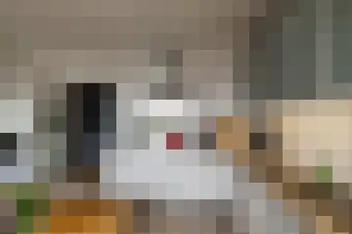 Grote Beerstraat 344 Groningen thumbnail 4