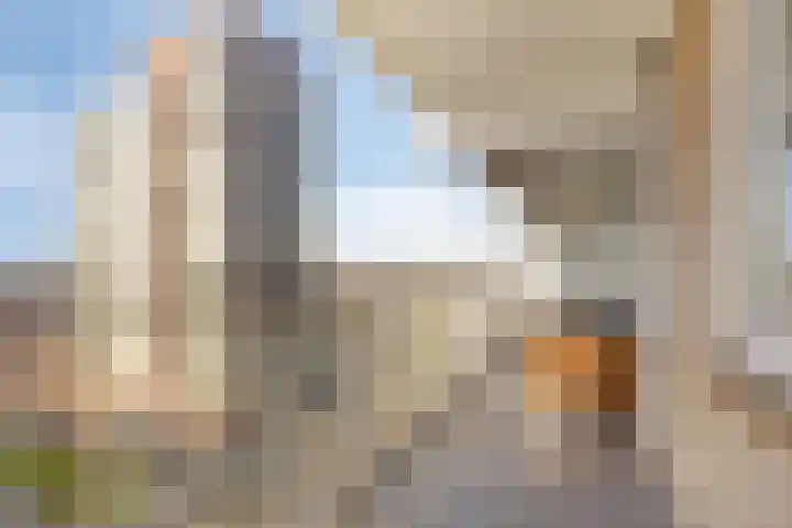 Grote Beerstraat 384 Groningen thumbnail 21