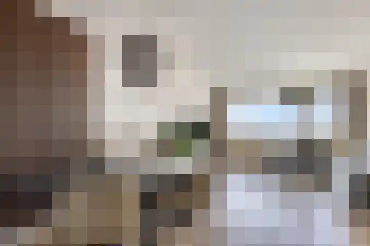 Grote Beerstraat 384 Groningen thumbnail 7