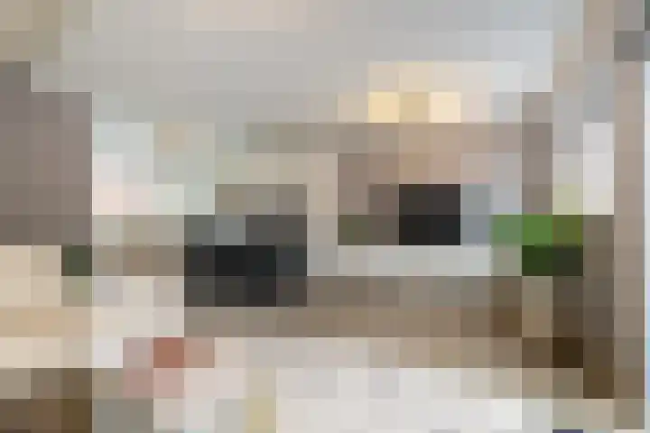 Grote Beerstraat 60 Groningen thumbnail 17