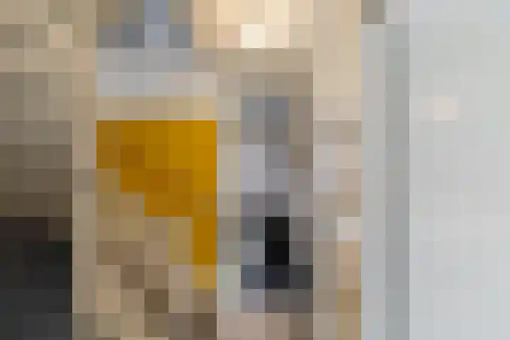 Grote Beerstraat 60 Groningen thumbnail 27