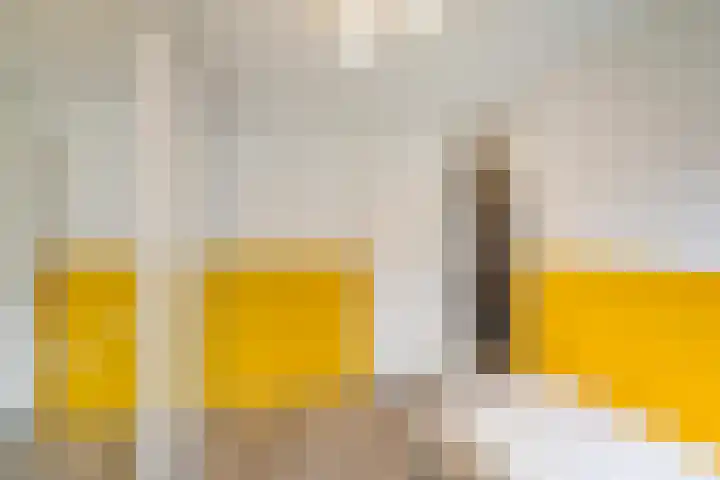 Grote Beerstraat 60 Groningen thumbnail 38