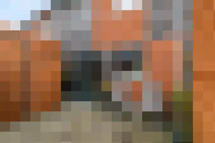 Grote Beerstraat 60 Groningen thumbnail 5