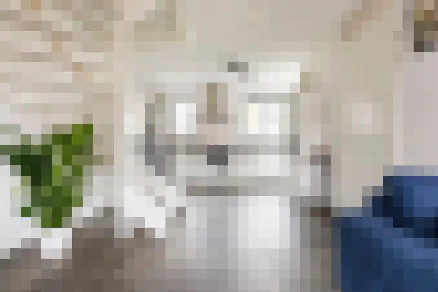 Grote Beerstraat 96 Groningen thumbnail 20