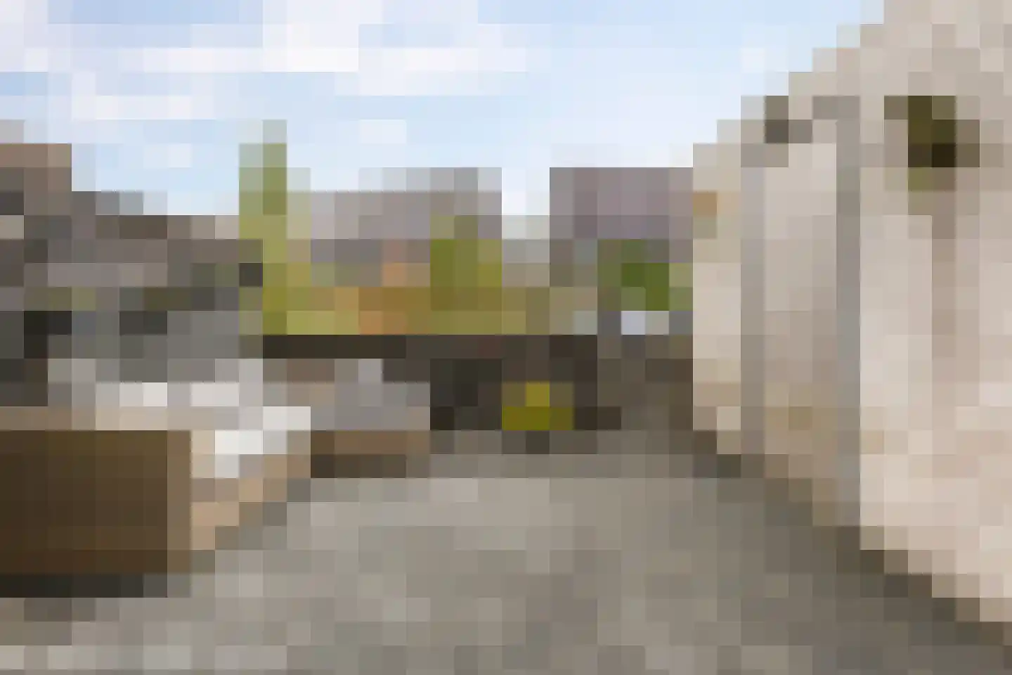 Grote Beerstraat 96 Groningen thumbnail 36