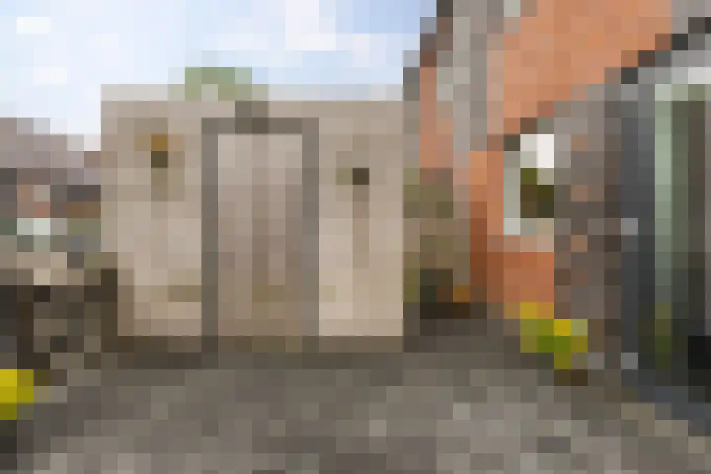 Grote Beerstraat 96 Groningen thumbnail 38