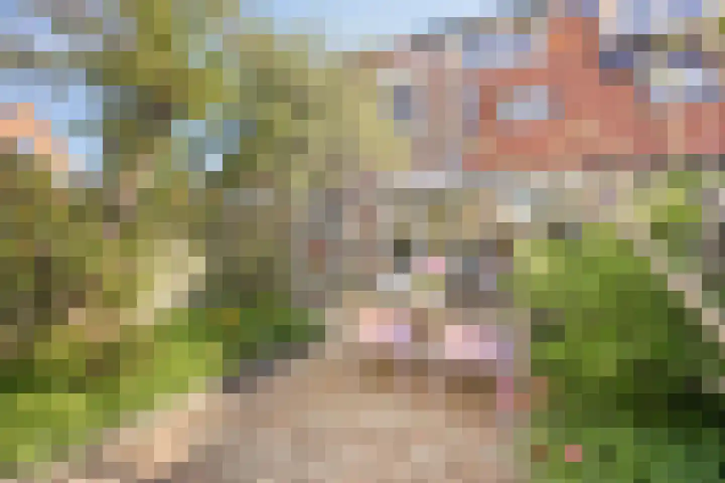 Grote Belt 16 Hoofddorp thumbnail 27