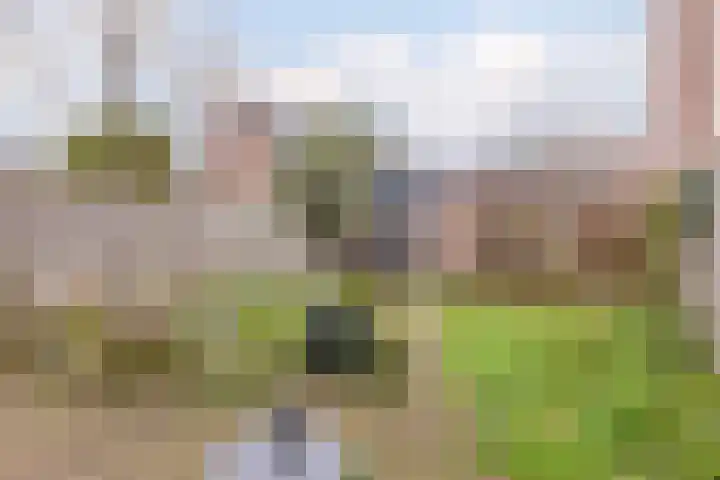 Grote Belt 172 Hoofddorp thumbnail 41