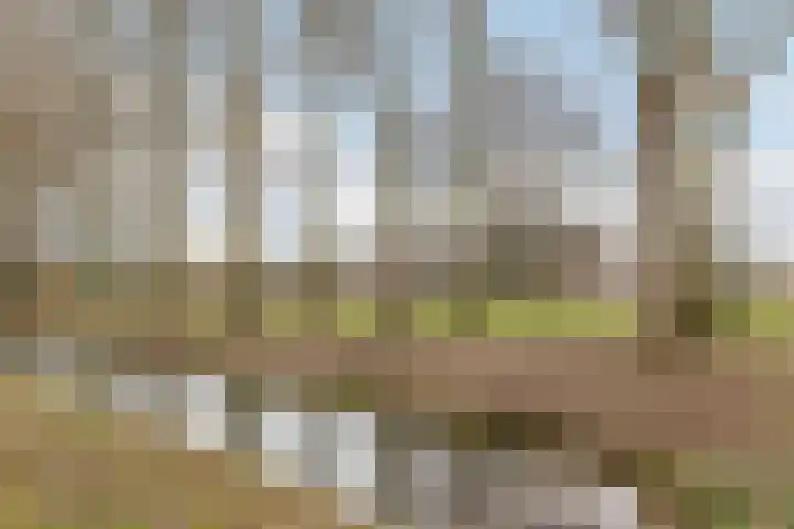 Grote Belt 172 Hoofddorp thumbnail 43