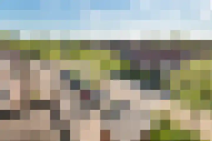 Grote Belt 191 Hoofddorp thumbnail 28