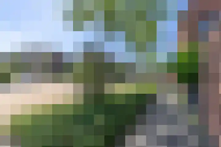 Grote Belt 193 Hoofddorp thumbnail 42