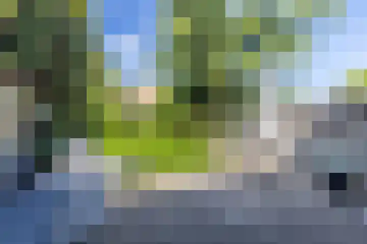 Grote Belt 199 Hoofddorp thumbnail 25
