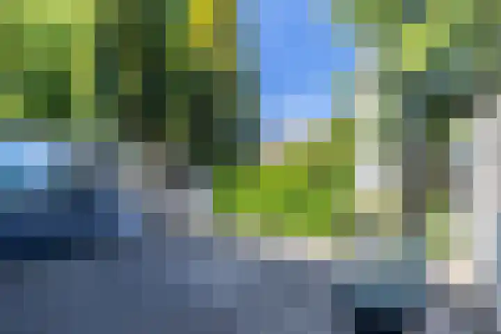 Grote Belt 199 Hoofddorp thumbnail 26