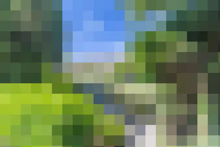 Grote Belt 199 Hoofddorp thumbnail 27