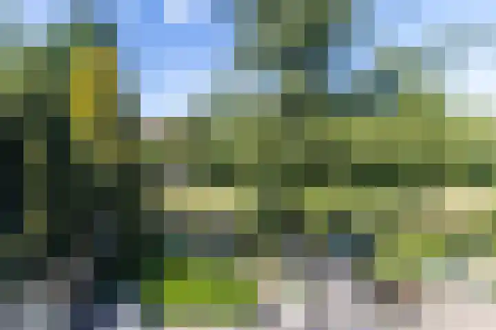 Grote Belt 199 Hoofddorp thumbnail 30