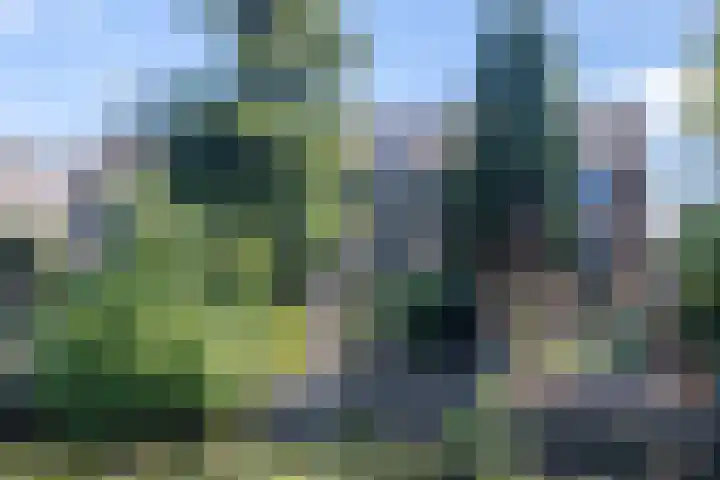 Grote Belt 199 Hoofddorp thumbnail 32