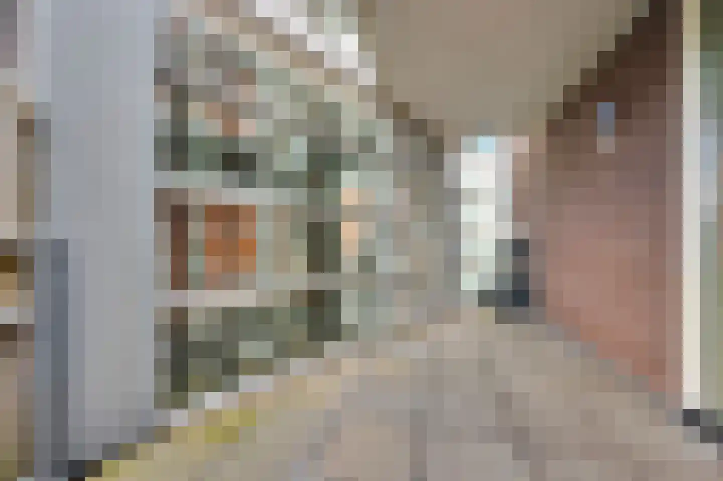 Grote Belt 24 Zaandam thumbnail 28