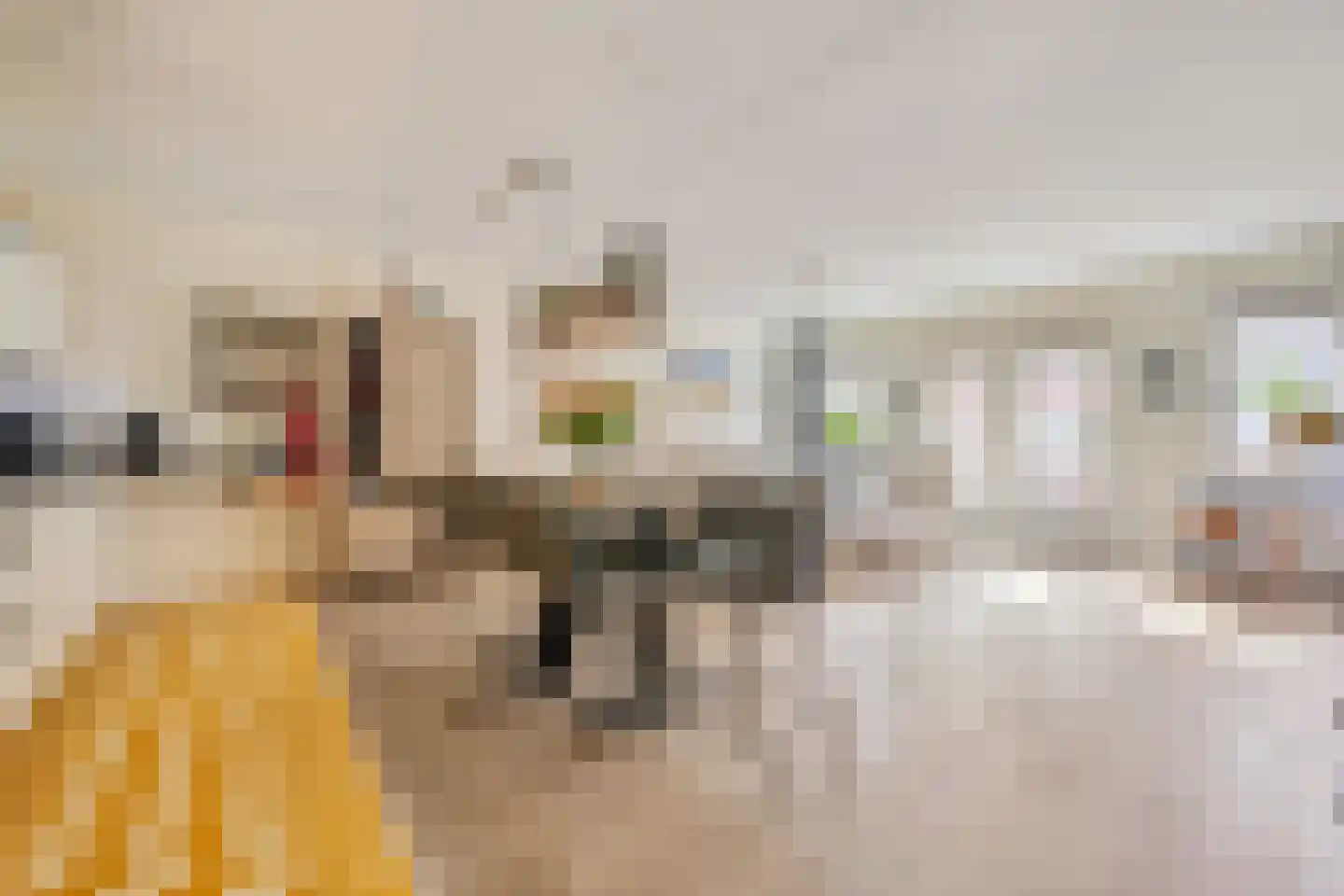 Grote Belt 24 Zaandam thumbnail 9