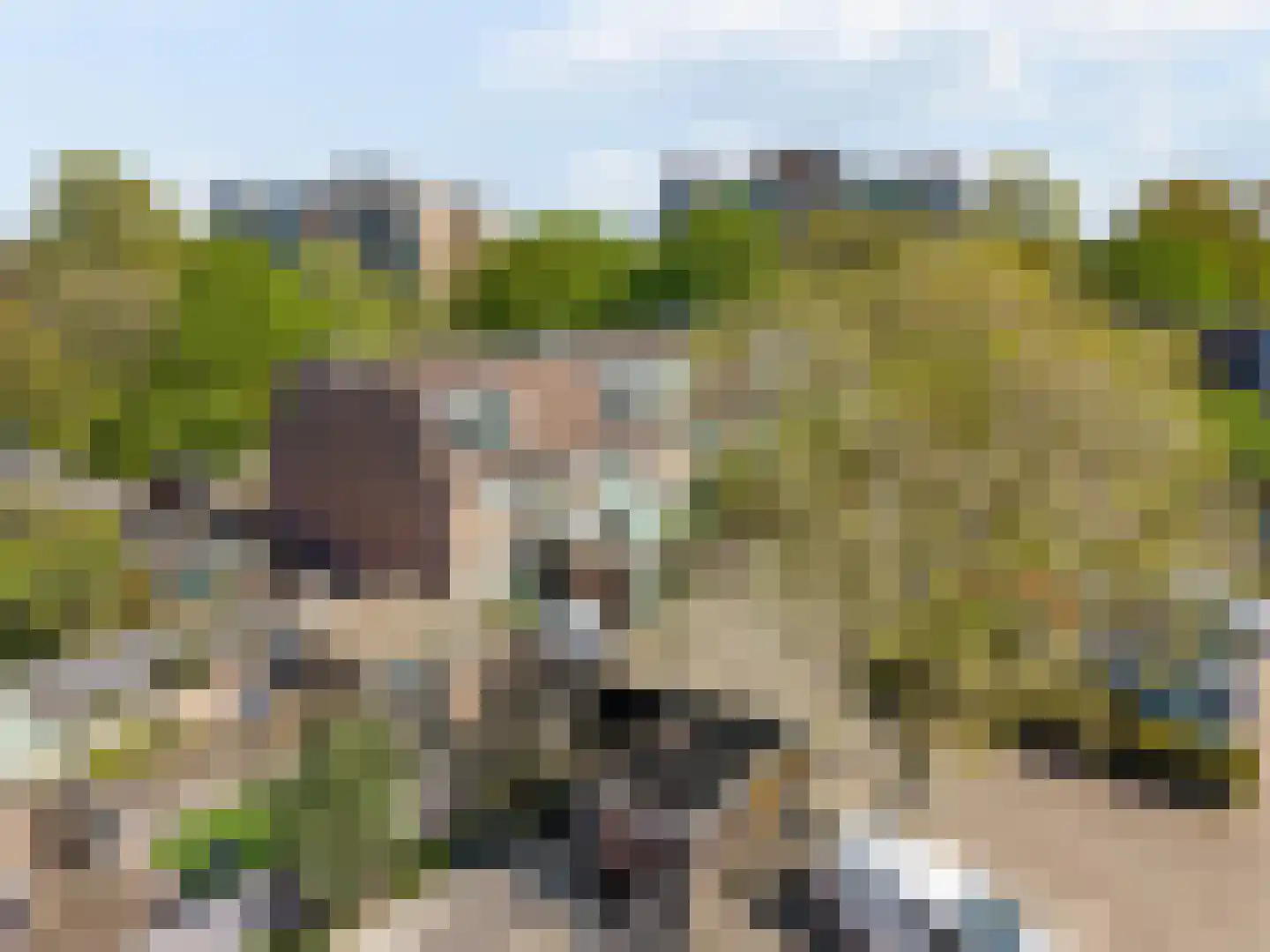 Grote Belt 312 A Hoofddorp thumbnail 23