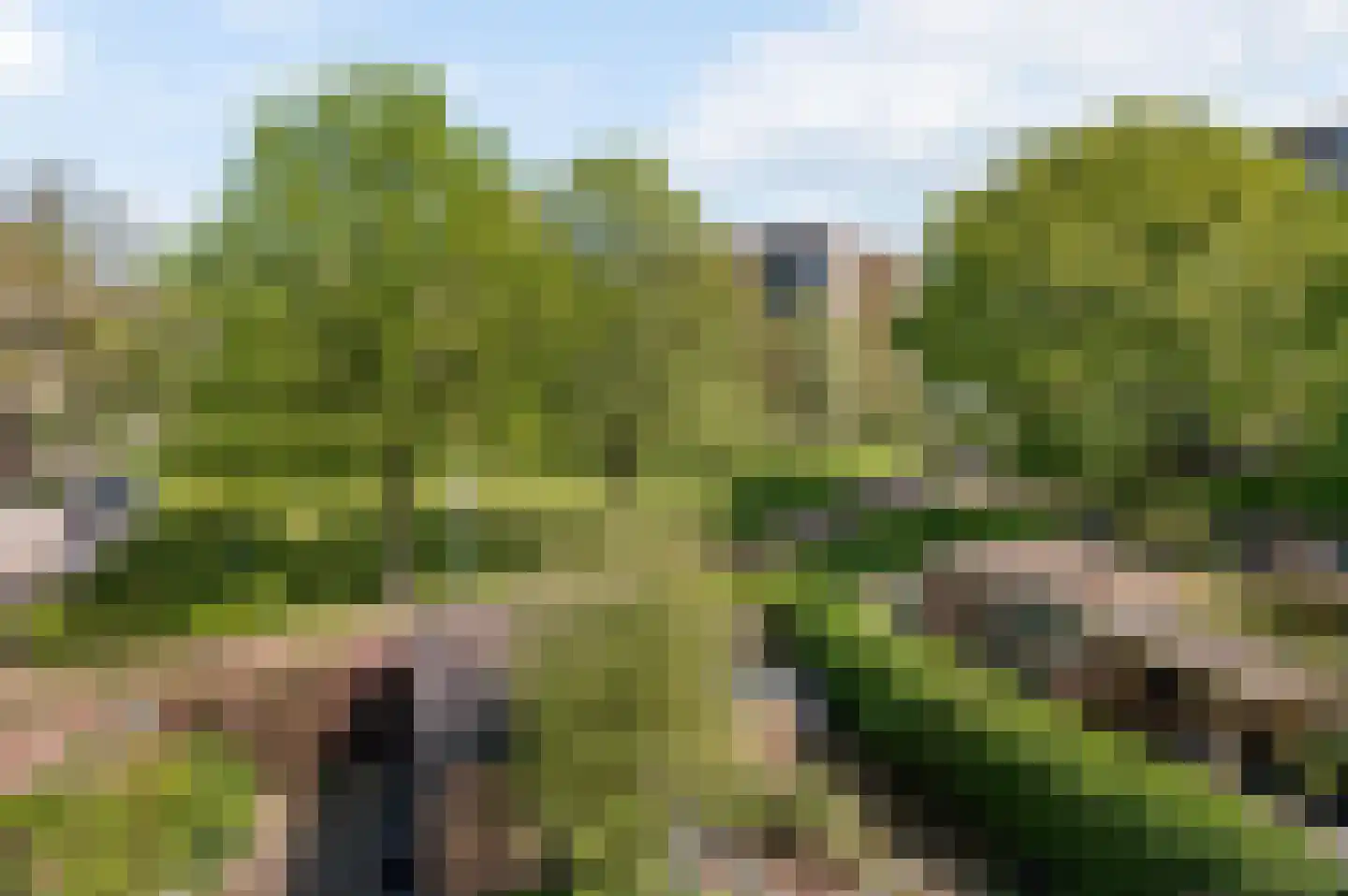 Grote Belt 312 A Hoofddorp thumbnail 27