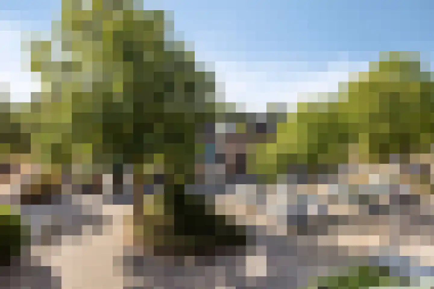 Grote Belt 364 A Hoofddorp thumbnail 5