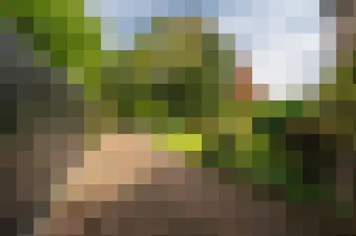 Grote Belt 37 Delfzijl thumbnail 10