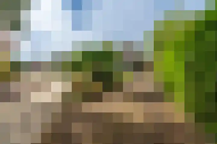 Grote Belt 37 Delfzijl thumbnail 8