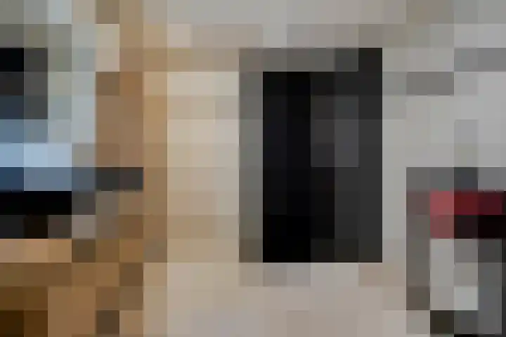 Grote Belt 4 Delfzijl thumbnail 35