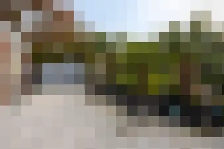Grote Belt 4 Delfzijl thumbnail 42