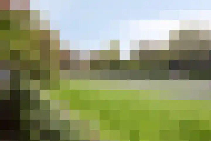 Grote Belt 4 Delfzijl thumbnail 44