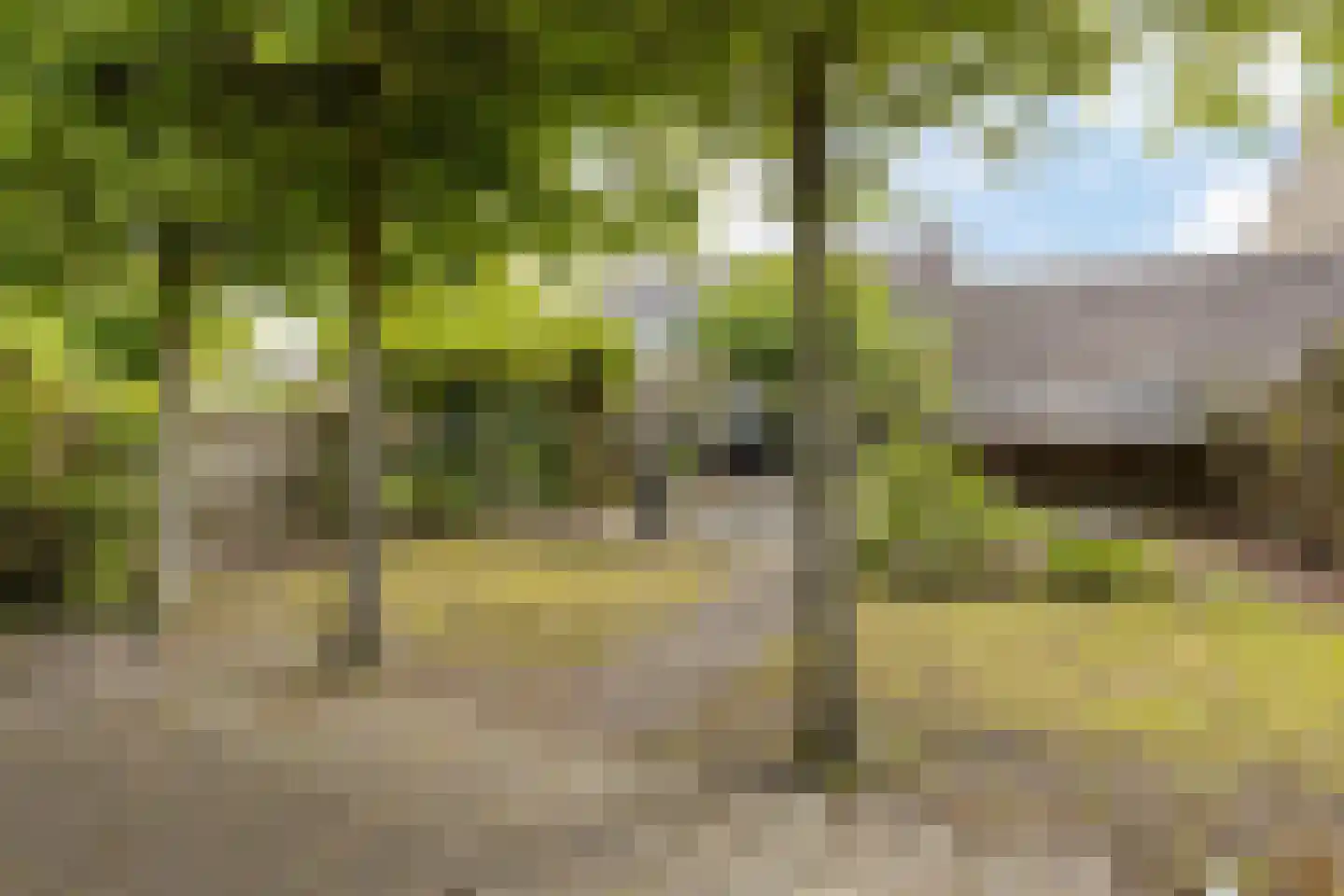 Grote Belt 43 Delfzijl thumbnail 6