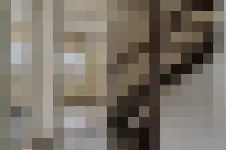 Grote Belt 66 Veendam thumbnail 23