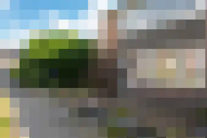 Grote Belt 70 Veendam thumbnail 31
