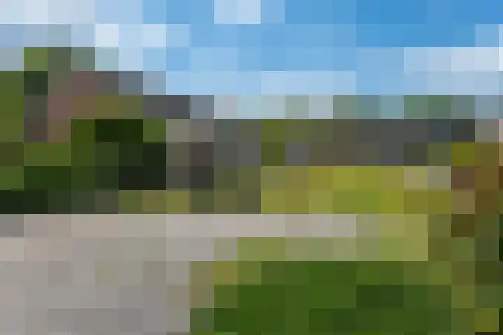 Grote Belt 70 Veendam thumbnail 33