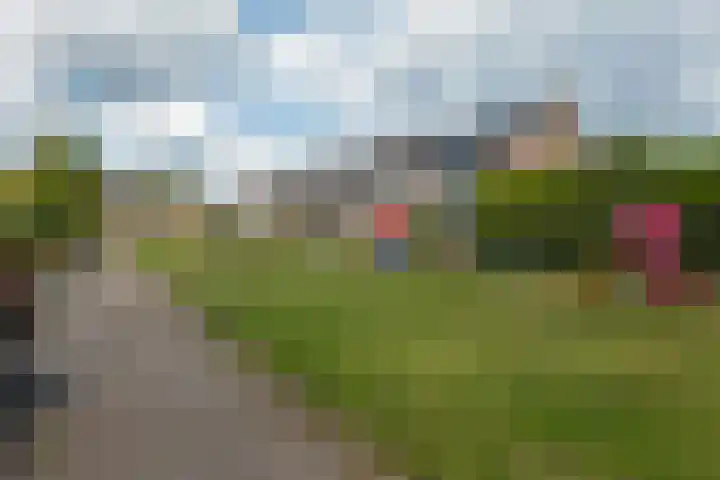 Grote Belt 70 Veendam thumbnail 35