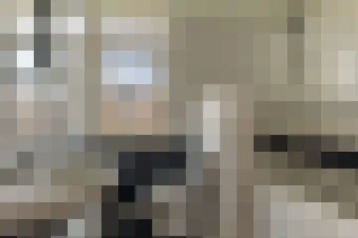 Grote Belt 70 Veendam thumbnail 4