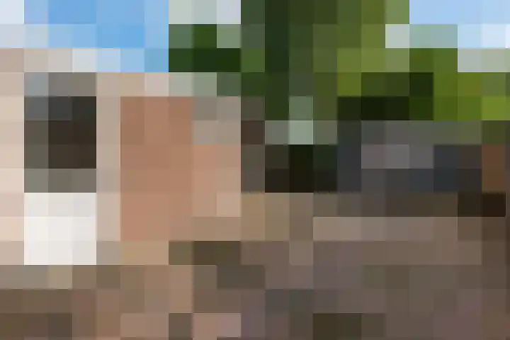 Grote Belt 70 Veendam thumbnail 5