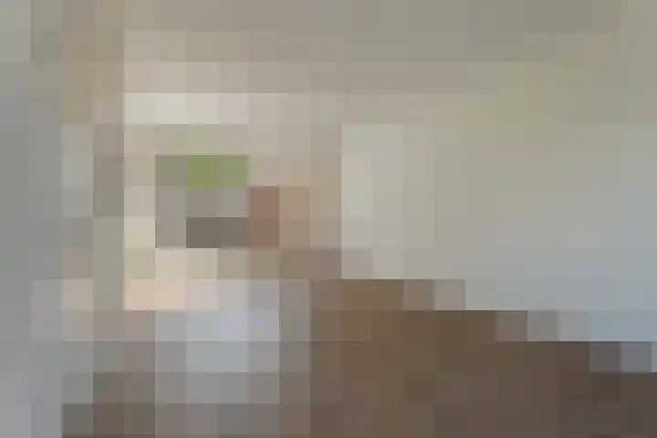 Grote Belt 70 Veendam thumbnail 7
